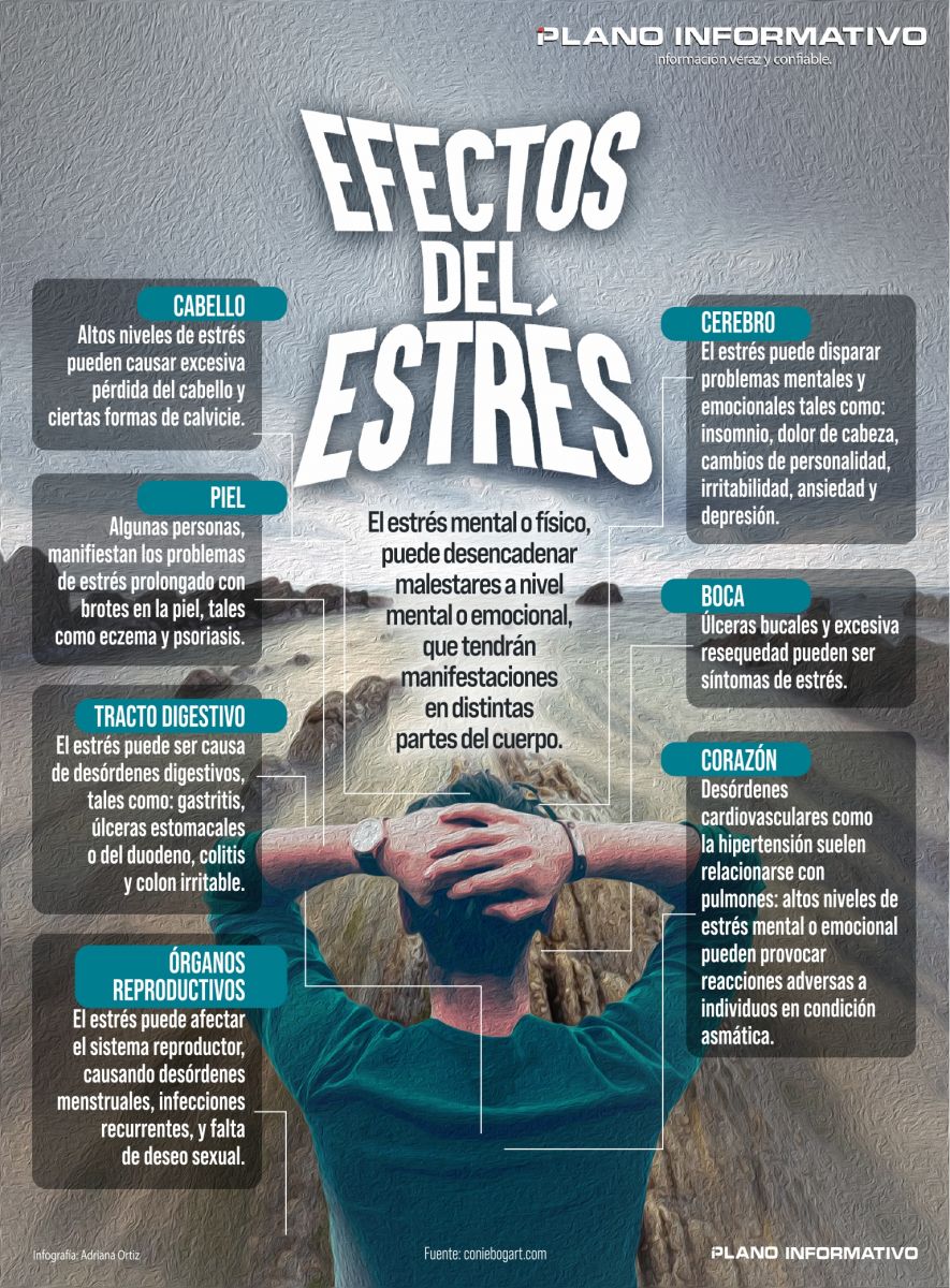 Estos Son Los Efectos Del Estrés En Tu Salud 6396